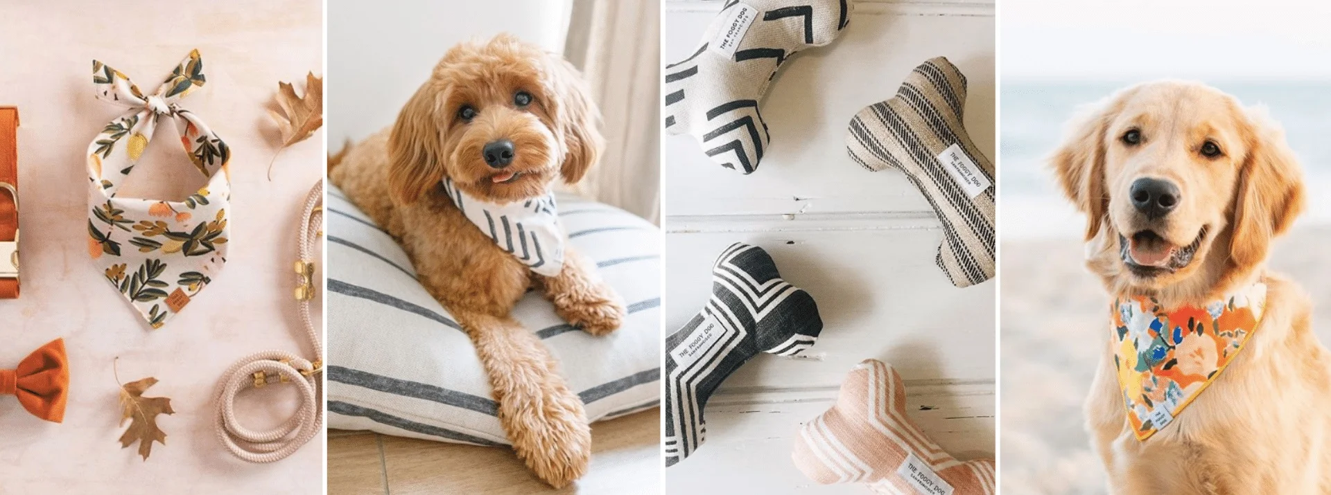 Dog Accessories