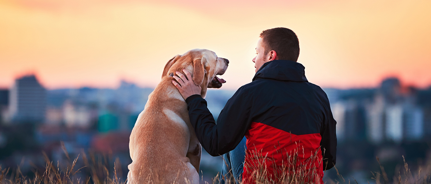Guaranteed Ways to Bond with Your Dog