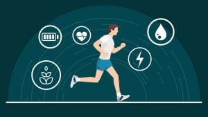 Sprint Carbs, Slow Carbs, No Carbs