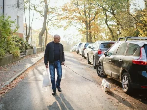 Cost of Pet Insurance in 2023