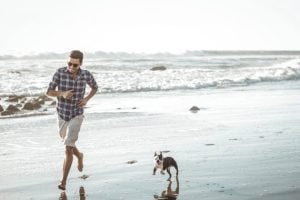 Dog Friendly Events