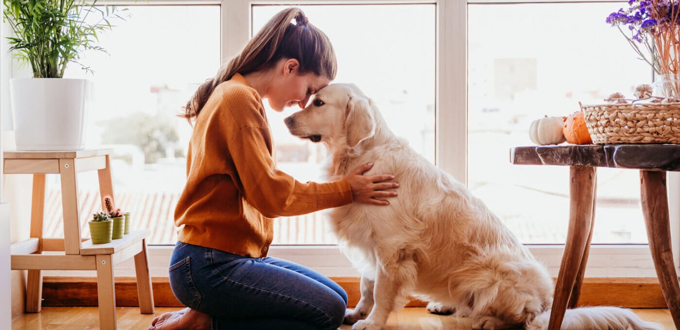 Pets Provide Comfort and Improve Mental Wellbeing