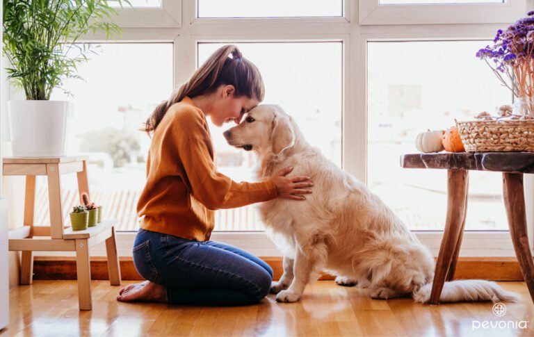 Pets Provide Comfort and Improve Mental Wellbeing