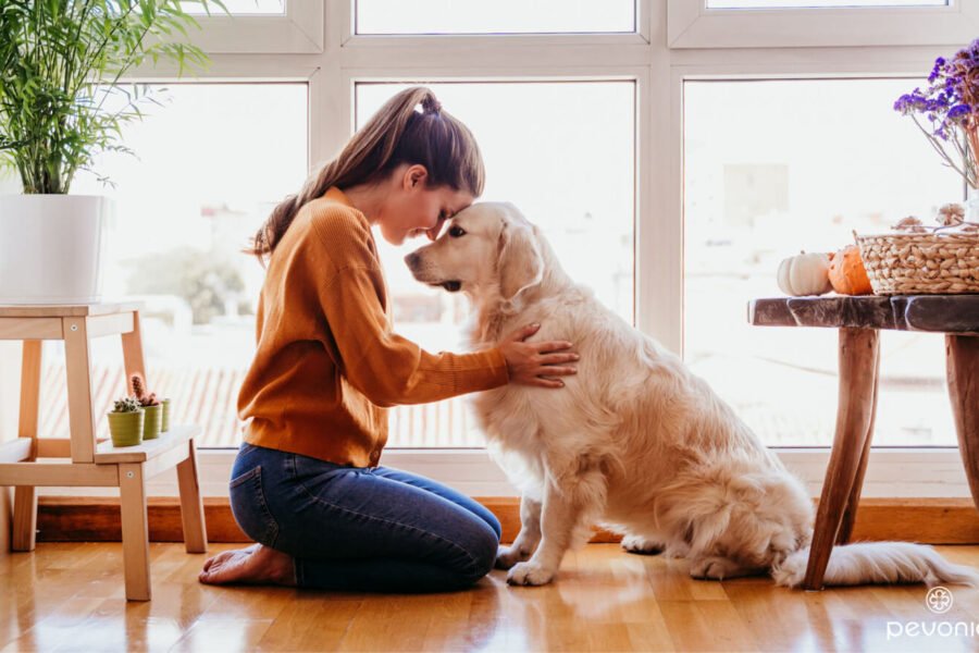 Pets Provide Comfort and Improve Mental Wellbeing