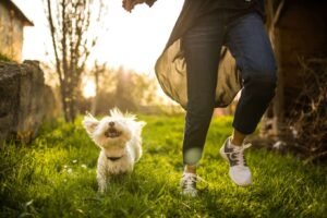 The Health and Mood-Boosting Benefits of Pets